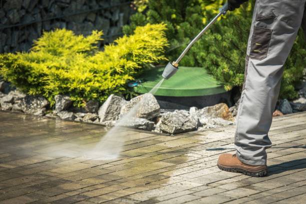 Best Building Exterior Pressure Washing in Gatesville, TX